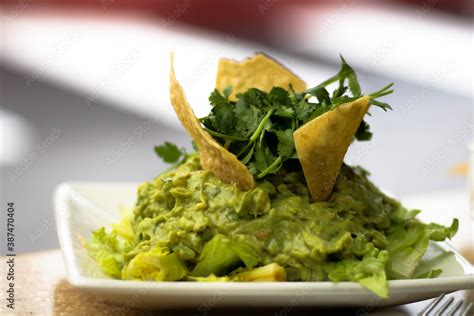 Chips and Guacamole Appetizer Stock Photo | Adobe Stock