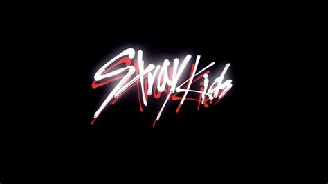 Pin on StrayKids