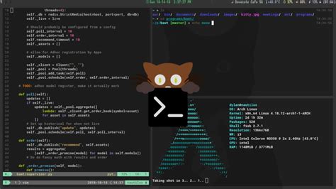 GitHub - adotive/kitty: My Kitty terminal setup 🐱