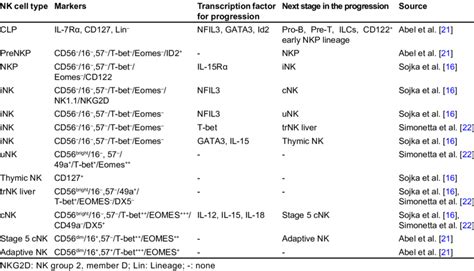NK cell ontogeny and related markers | Download Scientific Diagram