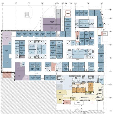 Emergency Department Master Planning | Array Architects