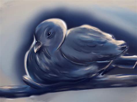 Pigeon art : r/pigeon