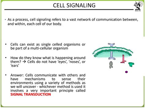 SOLUTION: Cell Signalling and its types - Studypool