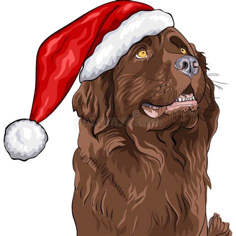 Vector Dog German Shepherd in Santa Claus Hat Stock Vector ...