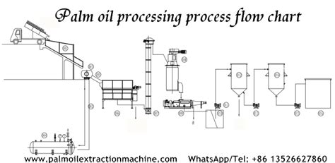 How to process palm fruit into red palm oil?_Palm Oil Extraction FAQ