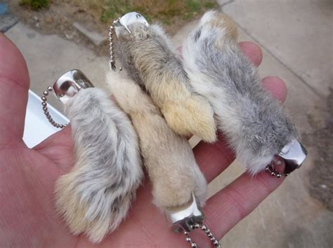 Lucky Rabbit's Foot Genuine Rabbit's Feet Key Chains Qty Feet For Good ...