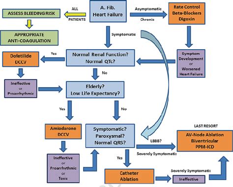 3 A practical approach to patient individualized treatment of atrial ...