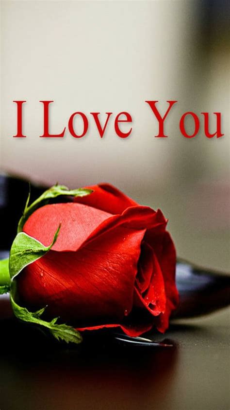 "Amazing Collection of Full 4K I Love You Images with Roses - Over 999 ...