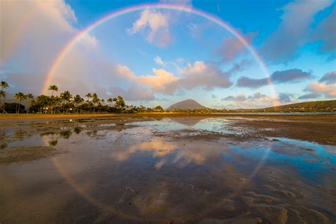 rainbow circle 2 ⋆ That Which Nourishes