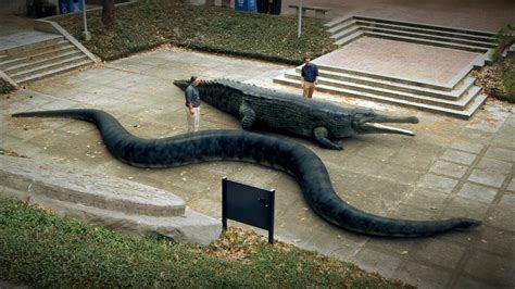 Titanoboa | Paleontology Wiki | Fandom