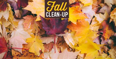 Fall Clean-up - Outside Unlimited