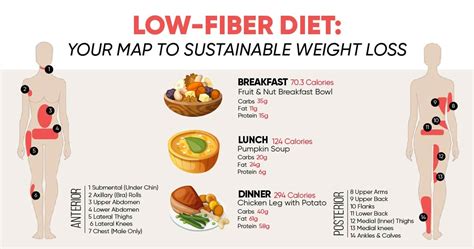 Low-fiber Diet: Your Map To Sustainable Weight Loss - Weight loss Blog ...