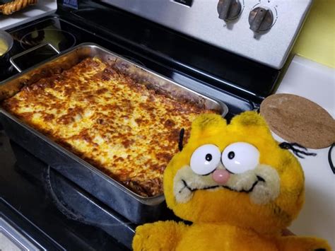 So my sister made Garfield lasagna : garfield