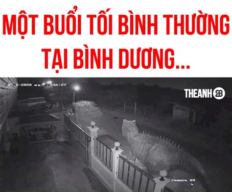 Độc lạ Bình Dương là gì? Tại sao trên MXH gọi như thế?