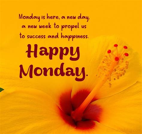 Monday Motivation Quotes and Messages for a Fresh Start - WishesMsg