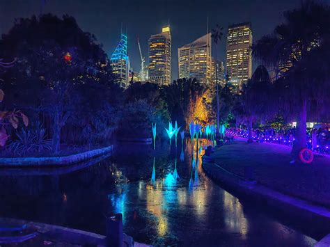 Photo: 2023 06 10 29 Vivid Sydney Lightscape in the Botanical Gardens ...