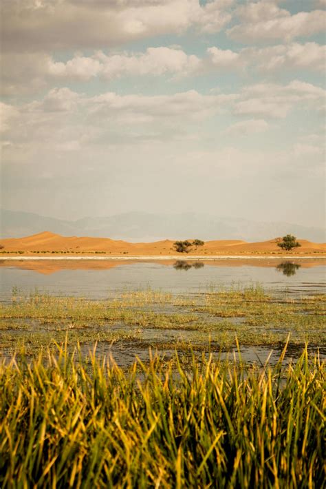 Desert Oasis Photos, Download The BEST Free Desert Oasis Stock Photos ...