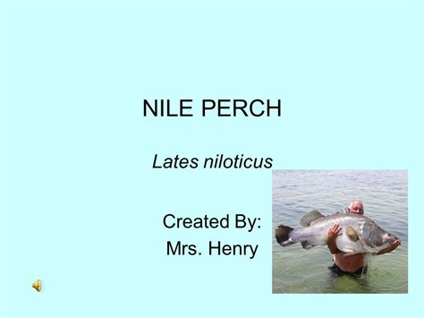 Nile Perch Invasive Species