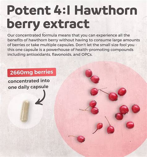 Hawthorn Berry Health Benefits And How To Use Axe, 41% OFF