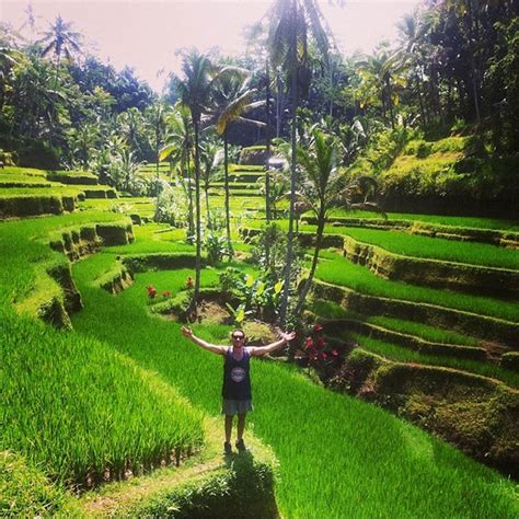 8 Beautiful Terraced Paddy Fields in Bali - Islands and Islets