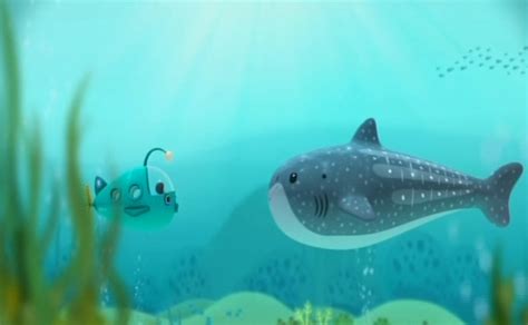 The Whale Shark | Octonauts Wiki | FANDOM powered by Wikia