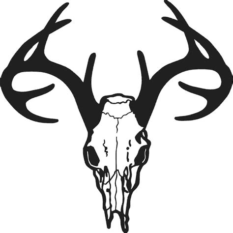 Whitetail Buck Skull Silhouette