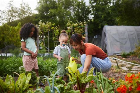 National Gardening Day Quotes