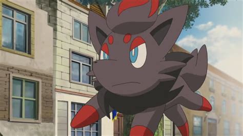 Zorua (M13) - Bulbapedia, the community-driven Pokémon encyclopedia