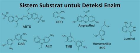 Sistem Substrat untuk Deteksi Enzim - PT Indogen Intertama