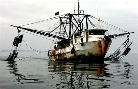 US Congress Cracks Down on Pirate Fishing – gCaptain