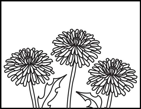 Dandelion Coloring Pages | Roaring Spork