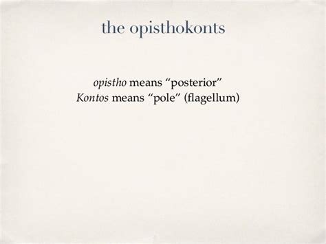 The Opisthokonts, 2014