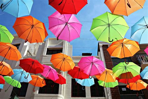 Umbrella Art Installation by Ivotavares Studio