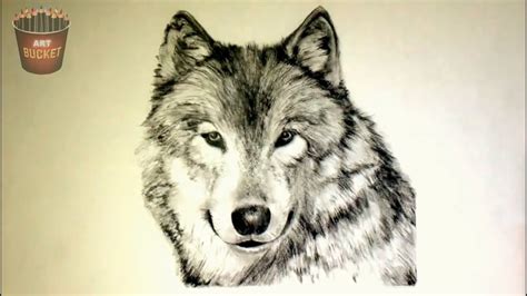 Easy Cute Animal Drawings Realistic