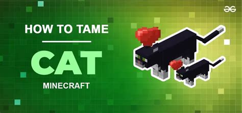 How to Tame a Cat in Minecraft - GeeksforGeeks