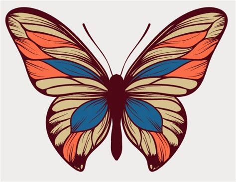 Free Colorful Butterfly Vector Art - TitanUI