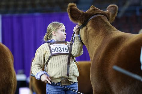 Cattle Shows – Red Angus Youth Expo