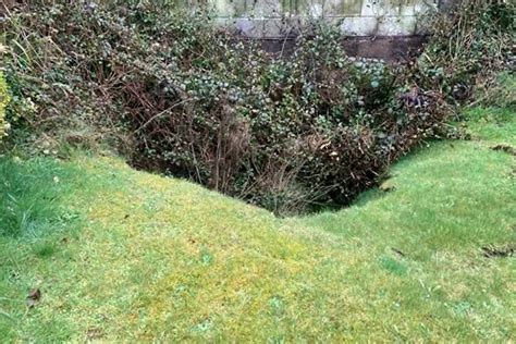 10m wide mine collapse in Cornwall garden could get bigger, says expert ...