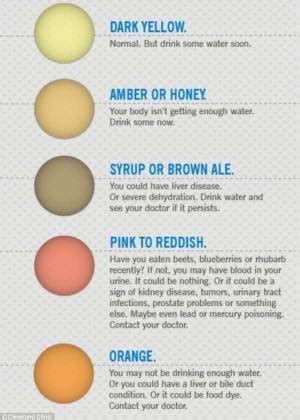 Orange Urine—Causes and Advices