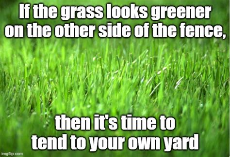 grass is greener Memes & GIFs - Imgflip