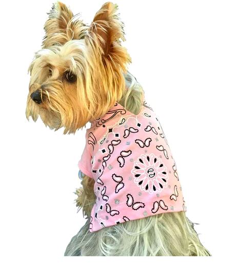 How To Choose The Right Dog Shirt For Your Pet: For Style And Comfort ...