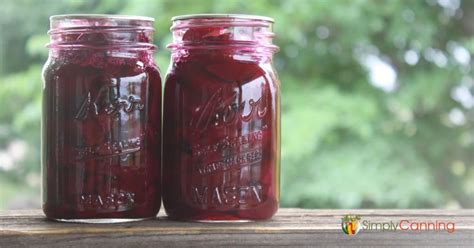 Pickled Beets/ An easy quick condiment. With Canning Instructions