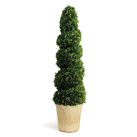 Boxwood Spiral Topiary 52.5" | Scout & Nimble