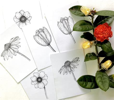 Floral Illustration- Learn to draw Assorted Flowers- Ink Pen Sketching ...