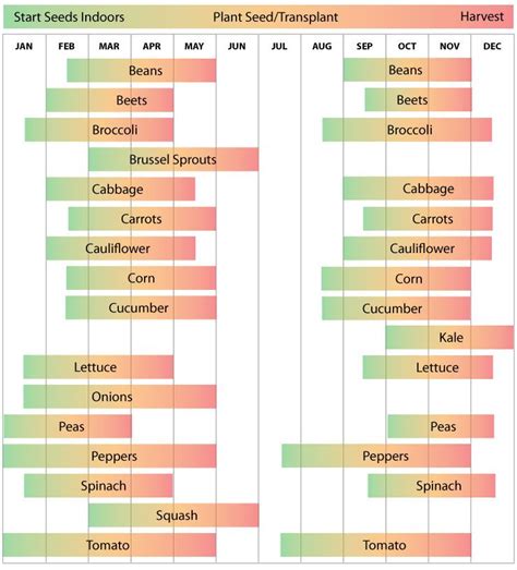 Printable Zone 9 Planting Schedule