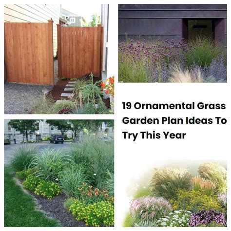 19 Ornamental Grass Garden Plan Ideas To Try This Year | SharonSable