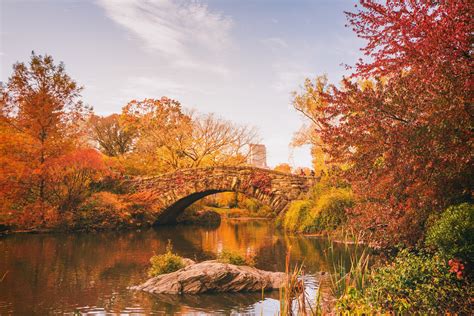 bridges, Usa, Parks, Pond, New, York, City, Gapstow, Bridge, Nature ...