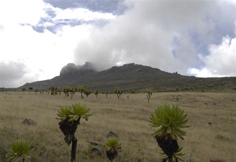 Mount Elgon National Park - World Easy Guides