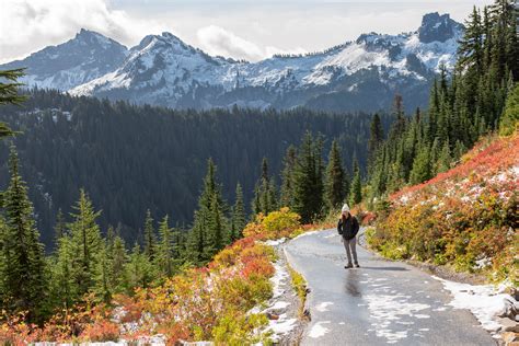 Stunning Fall Day Hikes in Mount Rainier National Park for All Skill ...