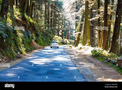 Road leading to Chail Hill station in Shimla,India Stock Photo - Alamy